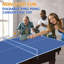 Plateau de table de tennis de table pliable et portable de 8,5 pi