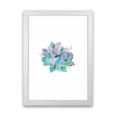 Aqua Succulent - Print