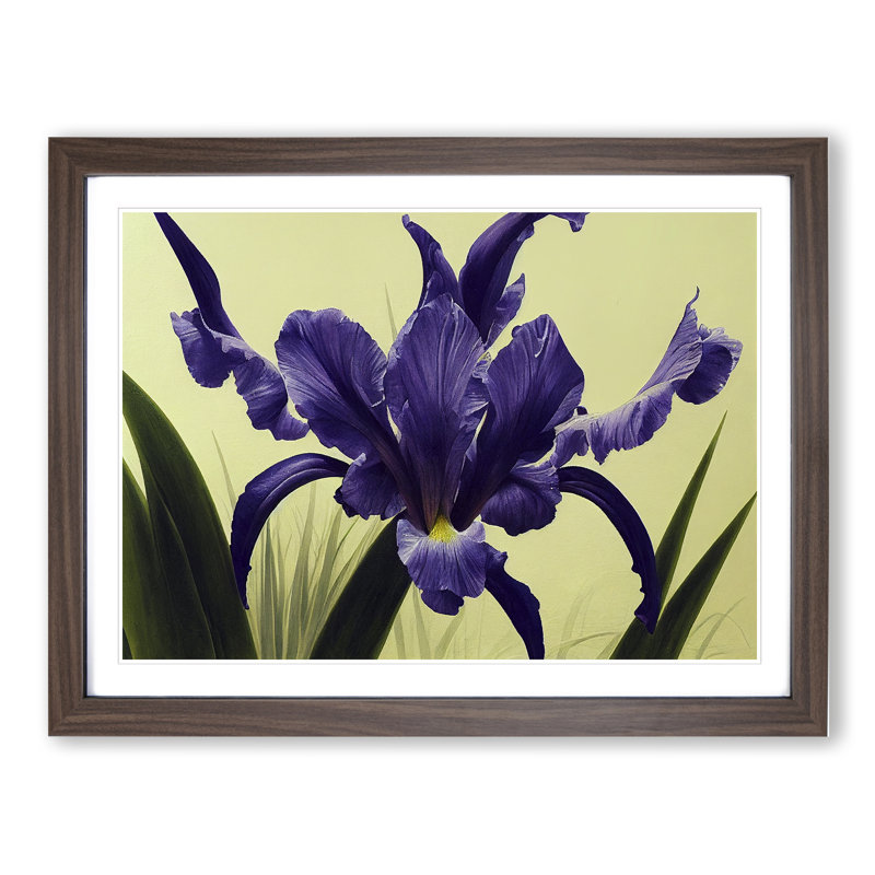 Cute Iris Flowers - Framed Print, 25cm H x 34cm W x 2cm D, Walnut