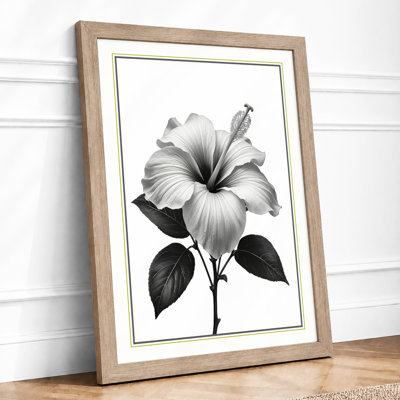 Hibiscus in Bloom Botanical - Framed Print
