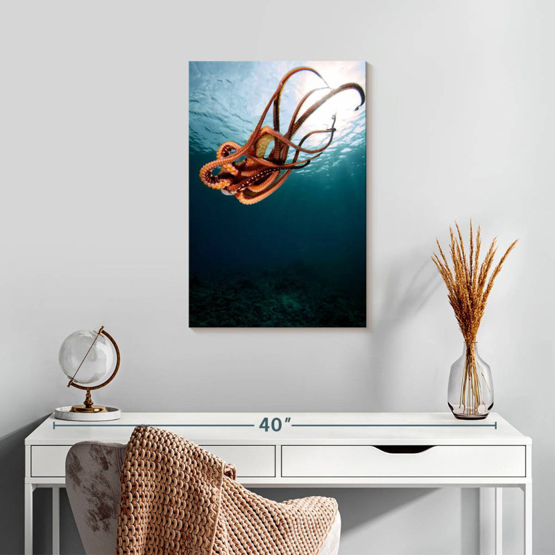 Brampt Diving Octopus, 24" H x 16" W