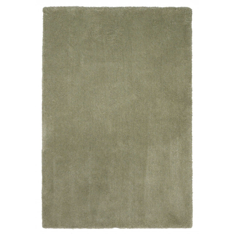 Tapis à poil long d'intérieur vert sauge 2 pi x 4 pi