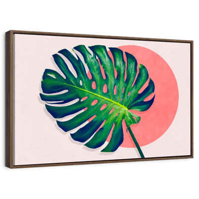 Monstera Paradise