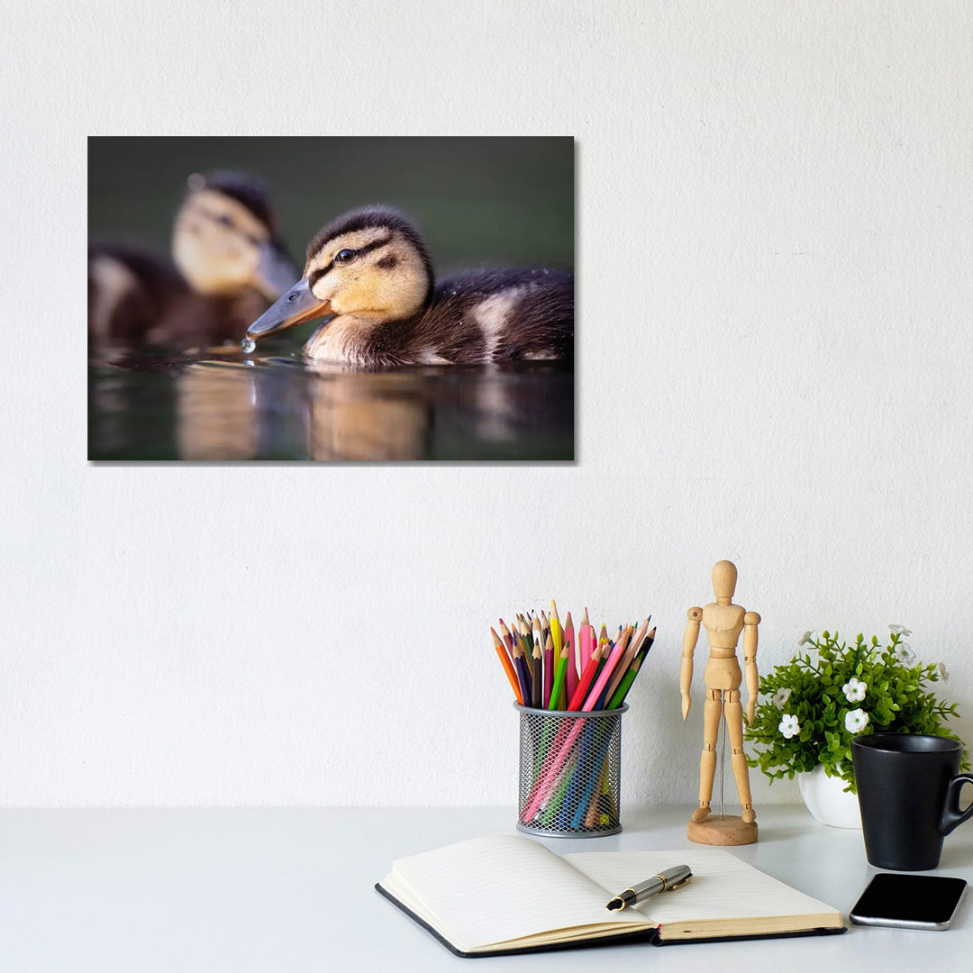 Droplet by Mateusz Piesiak - Wrapped Canvas Photograph