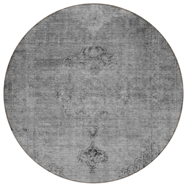 Machine-Washable Stain Resistant Area Rug with Non-Slip Backing