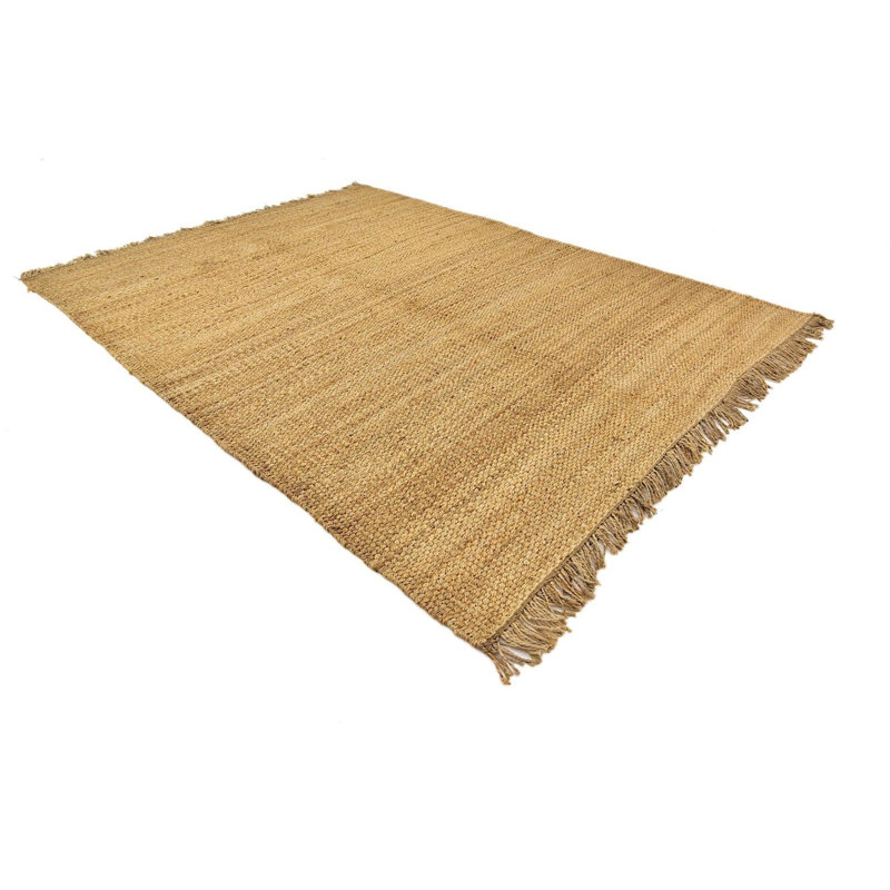 Tapis brun clair tressé à la main Jolie Southwestern, Rectangle 2 pi x 3 pi