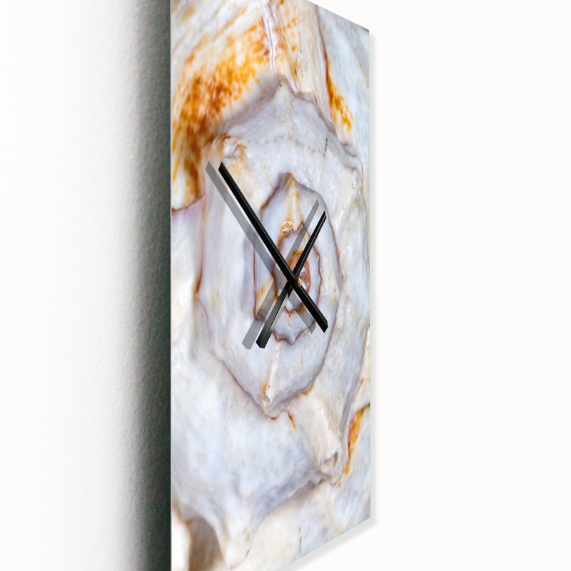 Grand squelette de coquillage - horloge murale moderne, Petit