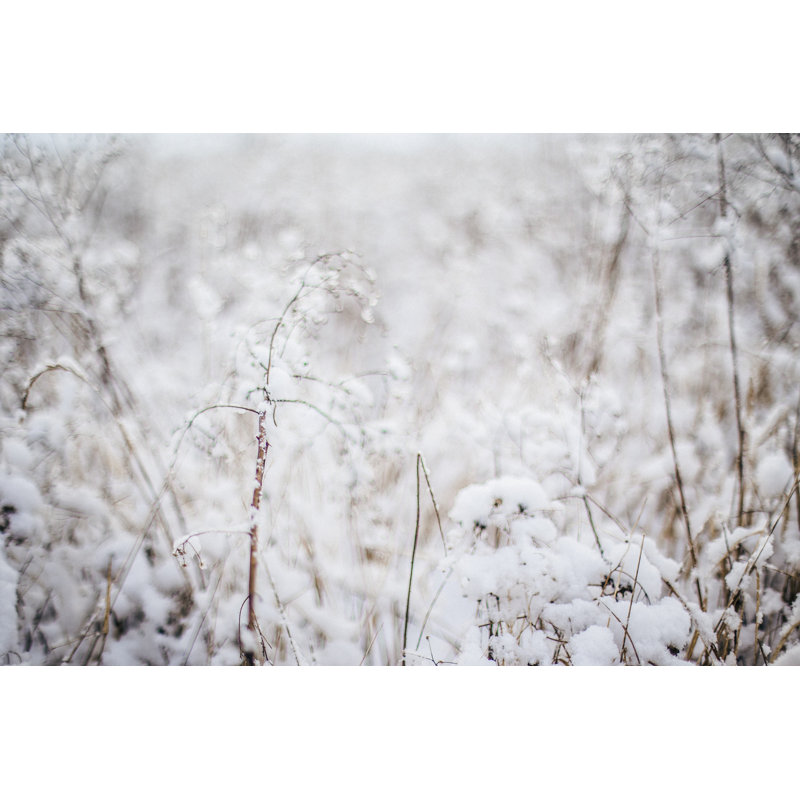 Snowy Field - Wrapped Canvas Print, 20cm H x 30cm W x 3.8cm D