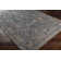 Lessard Oriental Indoor Rug