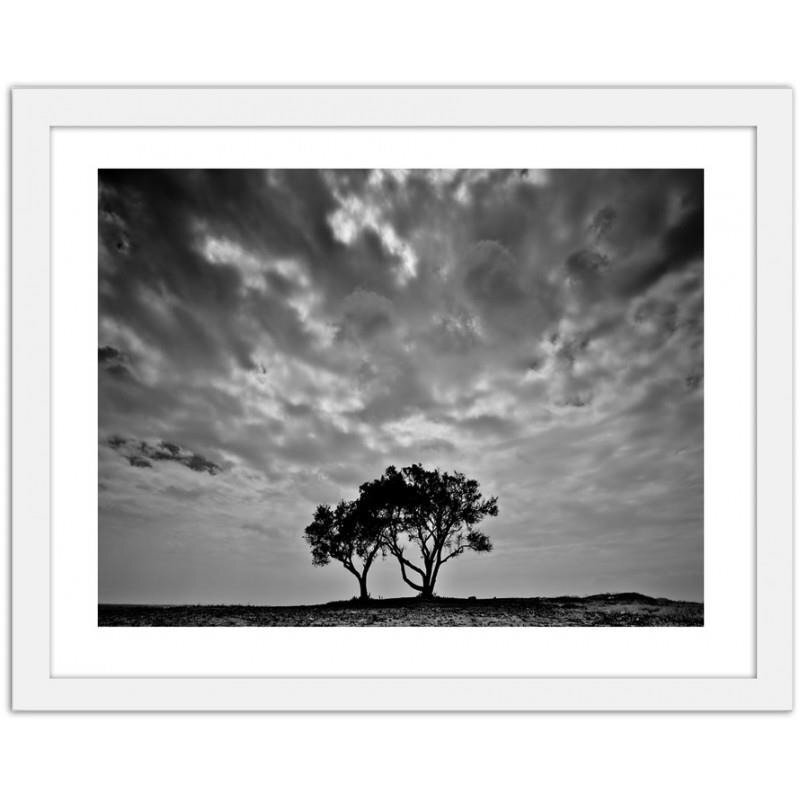 Gerahmtes Poster Lonely Trees