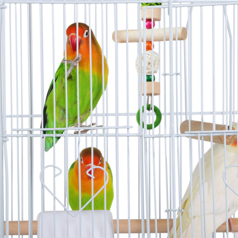 Cage de vol Toland, Blanc