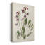 Antique Botanical Collection I - reproduction-751432419