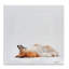 Plaque murale au repos «Daydreamer Corgi», conception par Mary Sparrow