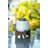 Zainab Ceramic Pot Planter-471763604