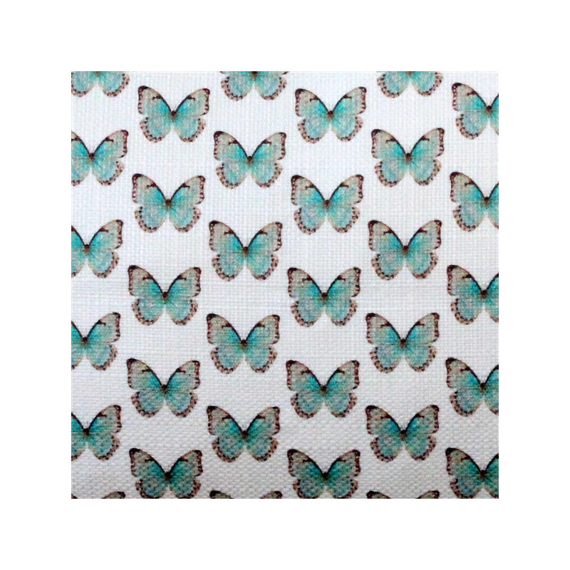 Coussin «Costa Rica Robin's Egg Butterfly