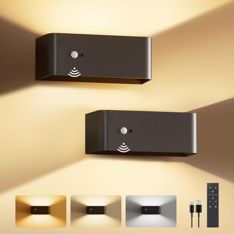 Plastic Flush Mounted Sconce
