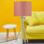 Valleyview Metal Tripod Lamp