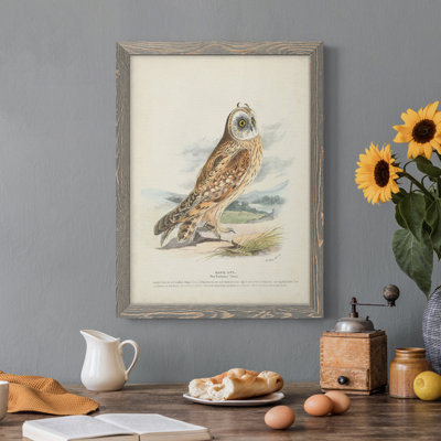 " Hawk Owl " Painting Print