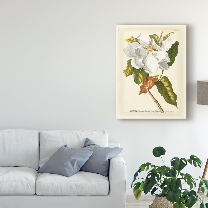 « magnifique magnolias i », reproduction de peinture à l’acrylique sur toile tendue, H 24 po x l 18 po x P 2 po