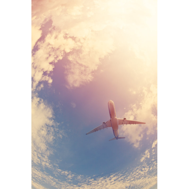 Airplane Flying In The Sky by Gremlin - No Frame Print on Canvas, 76cm H x 51cm W