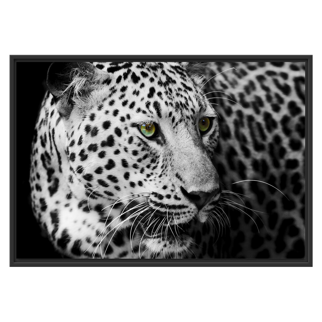 Gerahmtes Wandbild Dark Leopard mit grünen Augen