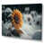 Toile tendue