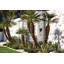 Shelter 1-Light Outdoor Sconce-1297674511-1297674508-1297674499