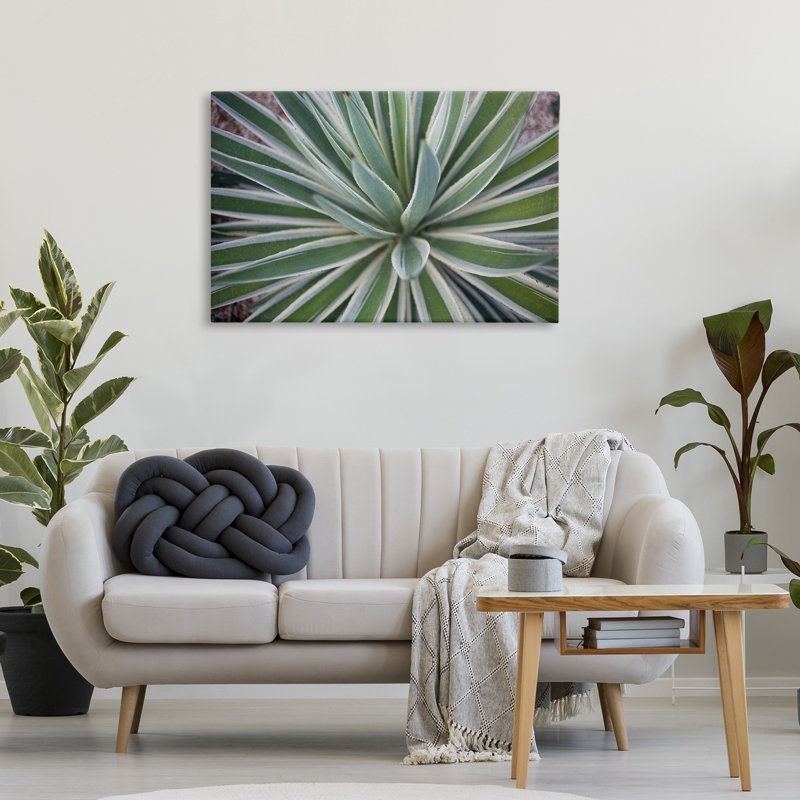 «Centric Succulent Leaves», art mural sur toile par Susan Bryant, H 24 po x l 36 po