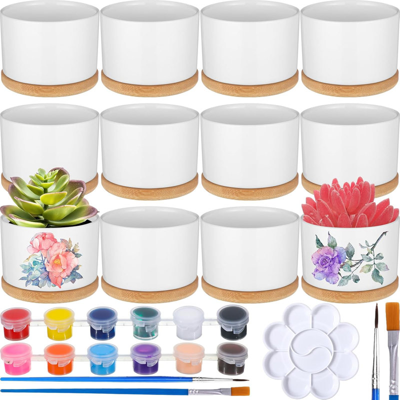 12 ensembles de casseroles succulentes en céramique