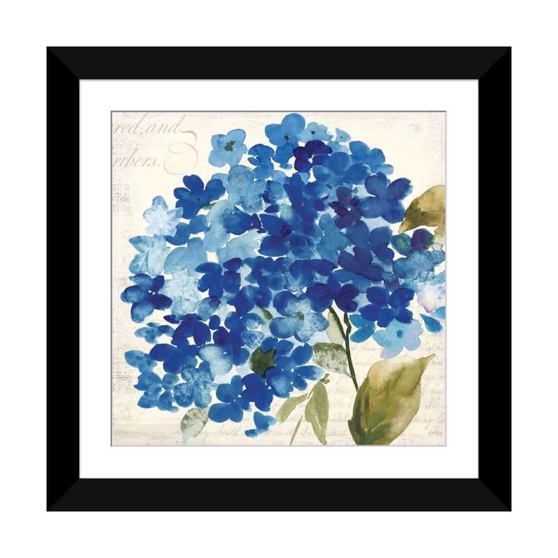 «Hampton Hydrangea II» par Asia Jensen, reproduction sur toile, H 16 po x l 16 po x P 1 po, Papier d'art encadré noir, Blanc