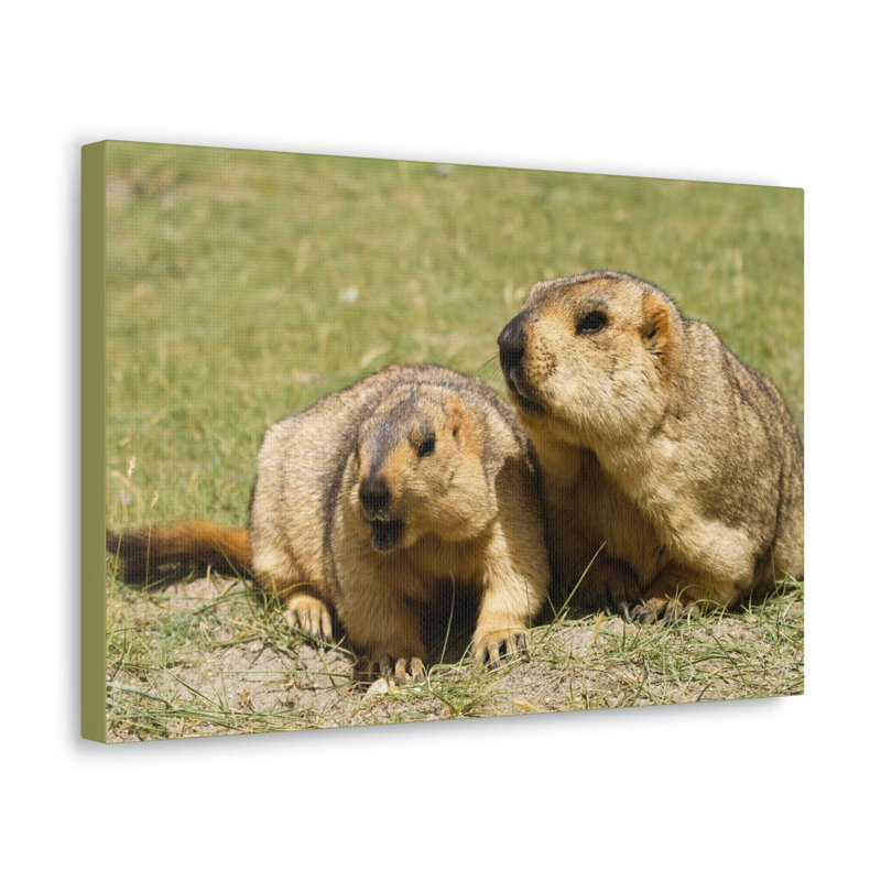 No Frame Print on Canvas, 30.48cm H x 45.72cm W