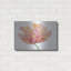 «Single Pink Bloom II» par Tim O'Toole, art mural en métal-1714938873
