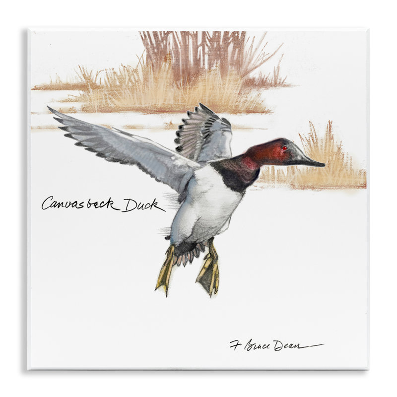 Art mural sur toile canard volant par Jadei