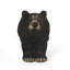 Siège d'appoint MGO Bear Bench