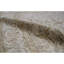Sultanabad Wool Oriental Area Rug in Cream