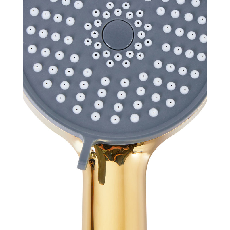 Shower Head and Hose Kit SURIPA, Gold