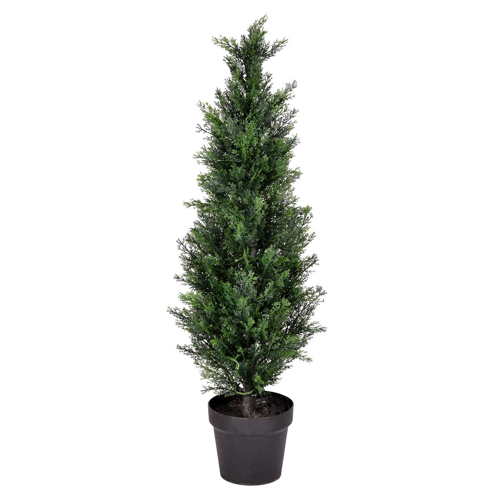 Yarbro Cedar Topiary in Pot, 36" H x 8" W x 8" D