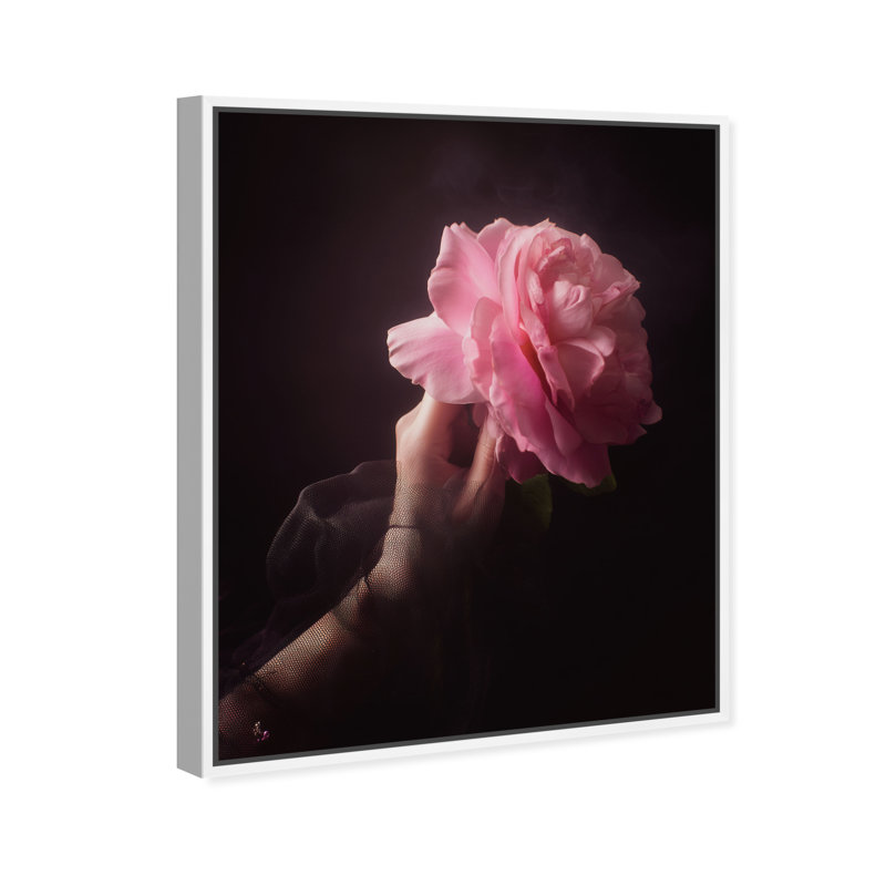 Rose rose sur toile, impression florale et botanique par Oliver Gal, 25"H x 21"W, White Frame