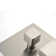 1-Spray Patterns 16 In. Ceiling Mount Dual Fixed And Handheld Shower Head 2.5 GPM