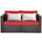 59'' Wide Straight Wicker Loveseat with Cushions-226978225