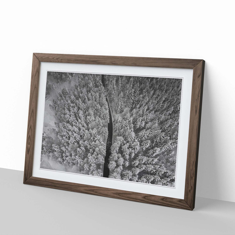 In a Winter Forest - Picture Frame Graphic Art Print, 35cm H x 50cm W x 2cm D, Walnut