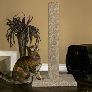 Classy Kitty Scratching Post & Reviews | Wayfair