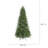 Essential Campbridge Spruce - 7.5'