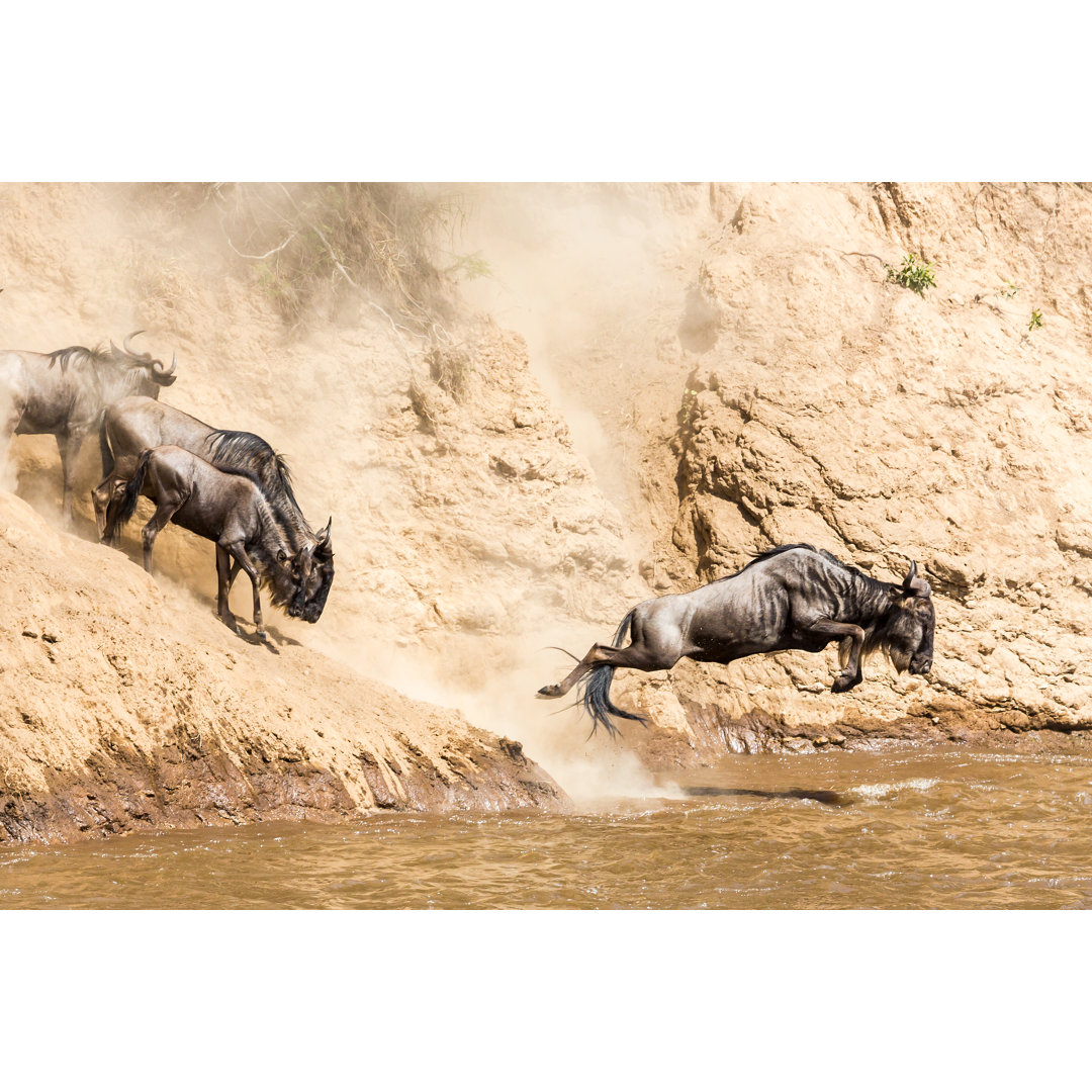 Great Wildebeest In Kenya von slide - Leinwand Kunstdrucke