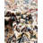 Jackson Oriental Indoor Rug-968978717