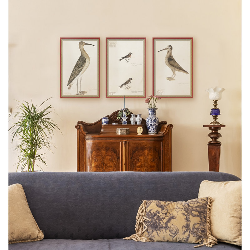 18th Century Bird Re-Strikes IV Painting