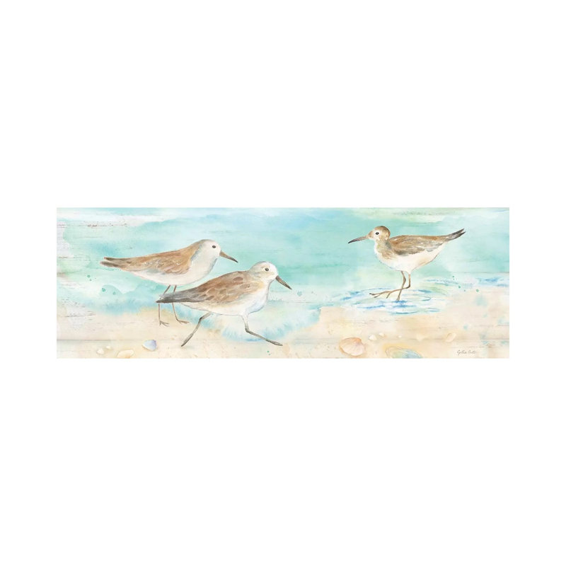 Sandpiper Beach Panel by Cynthia Coulter - Wrapped Canvas Panoramic Painting, 30.48 cm H x 91.44 cm W x 1.91 cm D