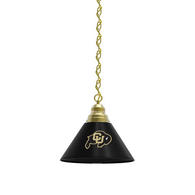 1 - Light Single Pendant