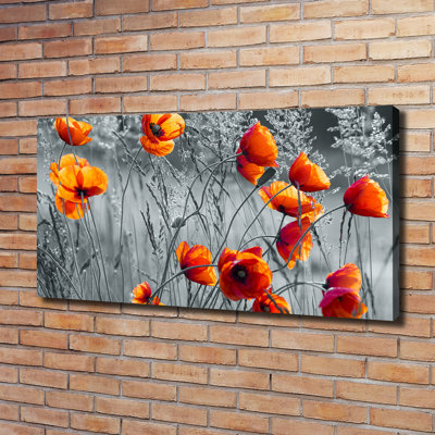 Field Poppies - Wrapped Canvas Print