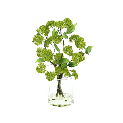 Organic Modern Snowball Viburnum Floral Arrangement